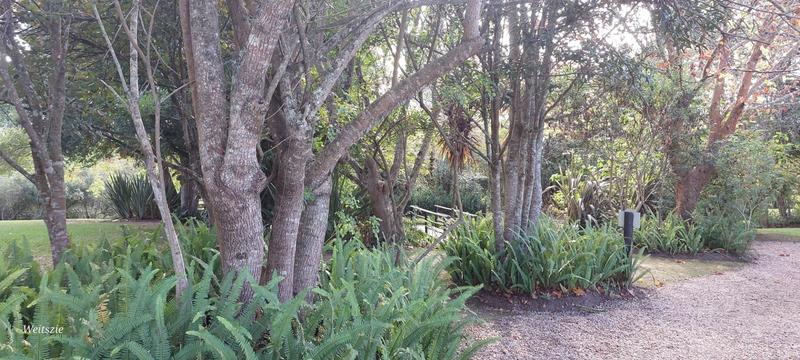 5 Bedroom Property for Sale in Wilderness Western Cape